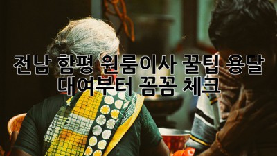전남 함평 원룸이사 꿀팁🍯 용달 대여부터 꼼꼼 체크!