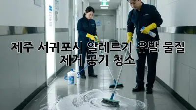 제주 서귀포시 알레르기 유발 물질 제거 공기 청소
